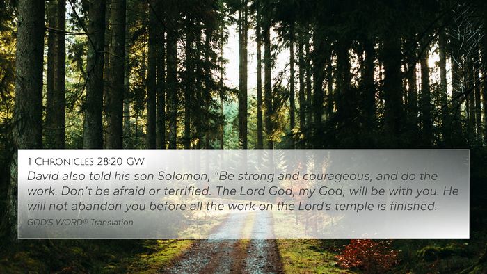 1 Chronicles 28:20 GW Bible Verse Image