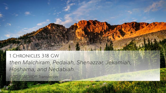 1 Chronicles 3:18 GW 4K Wallpaper - then Malchiram, Pedaiah, Shenazzar, Jekamiah, - 4K Wallpaper Bible Verse