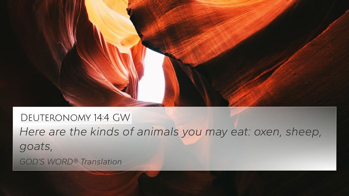 Deuteronomy 14:4 GW 4K Wallpaper - Here are the kinds of animals you may eat: oxen, - 4K Wallpaper Bible Verse