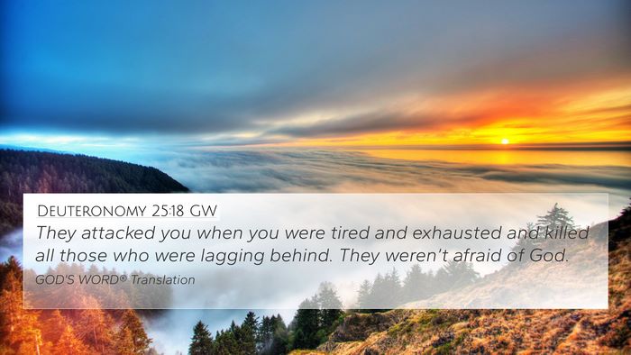 Deuteronomy 25:18 GW Bible Verse Image