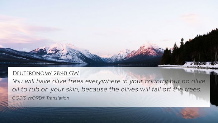 Deuteronomy 28:40 GW 4K Wallpaper - You will have olive trees everywhere in your - 4K Wallpaper Bible Verse