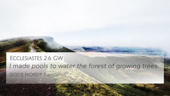 Ecclesiastes 2:6 GW 4K Wallpaper - I made pools to water the forest of growing - 4K Wallpaper Bible Verse