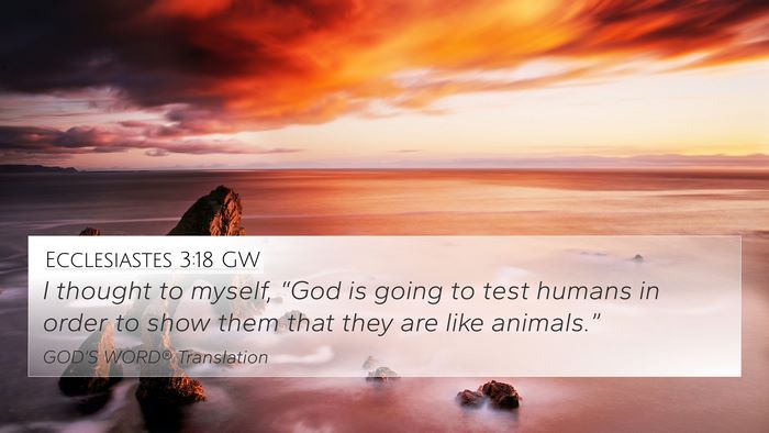 Ecclesiastes 3:18 GW 4K Wallpaper - I thought to myself, “God is going to test - 4K Wallpaper Bible Verse