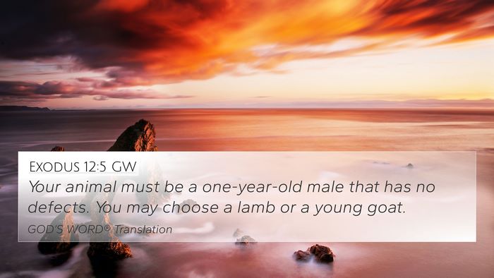 Exodus 12:5 GW Bible Verse Image