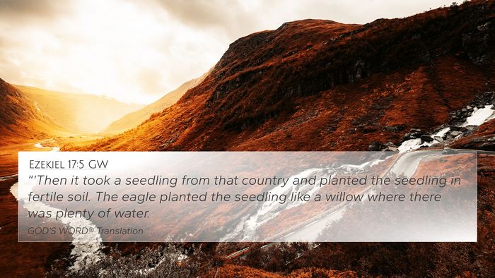 Ezekiel 17:5 GW Bible Verse Image