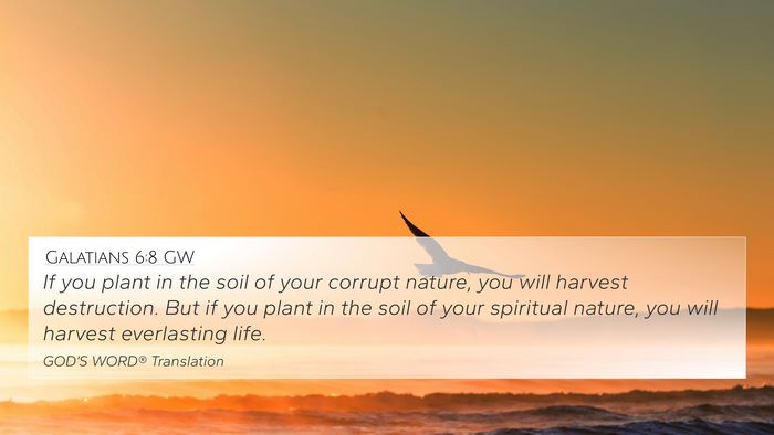 Galatians 6:8 GW Bible Verse Image