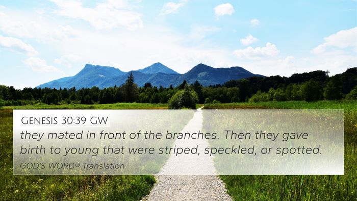 Genesis 30:39 GW Bible Verse Image