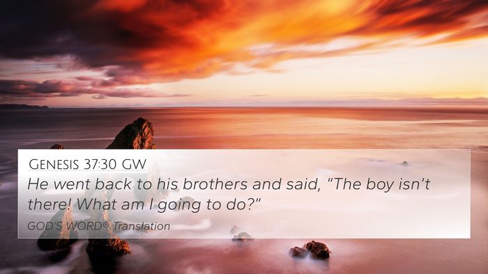 Genesis 37:30 GW Bible Verse Image