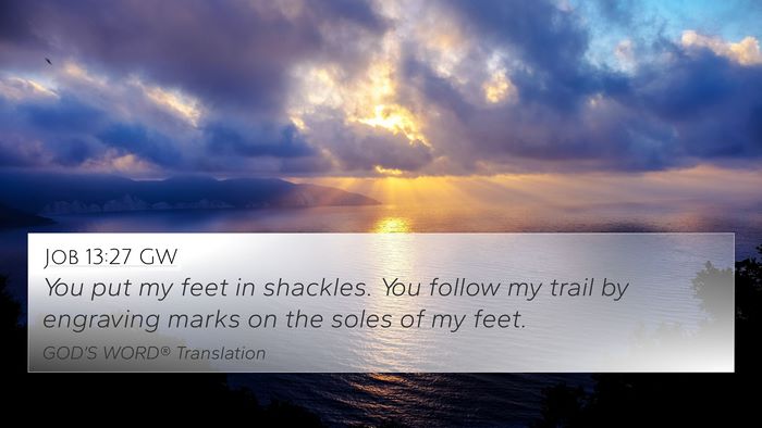 Job 13:27 GW Bible Verse Image