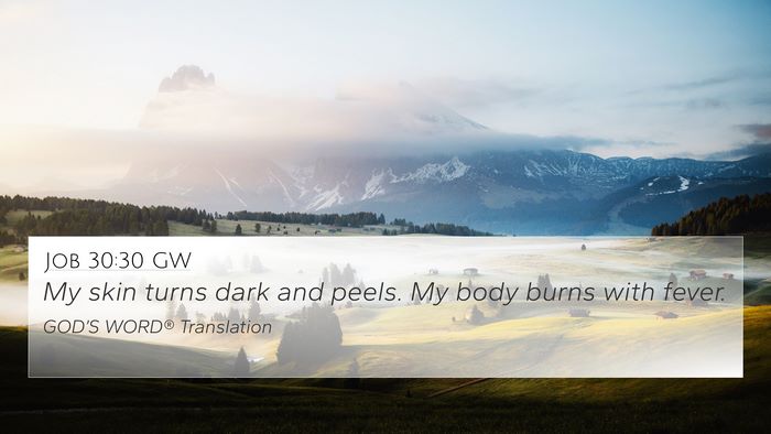 Job 30:30 GW Bible Verse Image