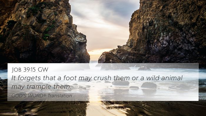 Job 39:15 GW 4K Wallpaper - It forgets that a foot may crush them or a wild - 4K Wallpaper Bible Verse