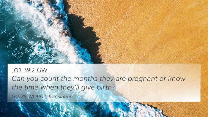 Job 39:2 GW 4K Wallpaper - Can you count the months they are pregnant or - 4K Wallpaper Bible Verse