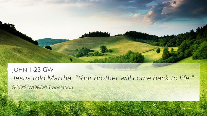 John 11:23 GW Bible Verse Image