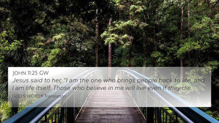 John 11:25 GW Bible Verse Image