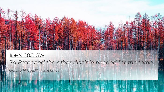 John 20:3 GW 4K Wallpaper - So Peter and the other disciple headed for the - 4K Wallpaper Bible Verse