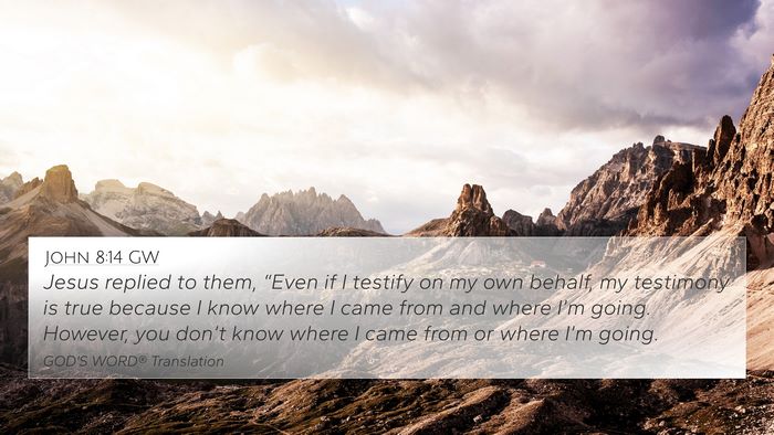 John 8:14 GW Bible Verse Image