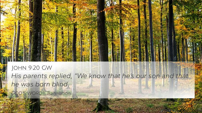 John 9:20 GW 4K Wallpaper - His parents replied, “We know that he’s our - 4K Wallpaper Bible Verse