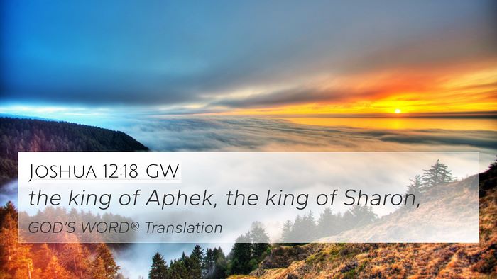 Joshua 12:18 GW Bible Verse Image