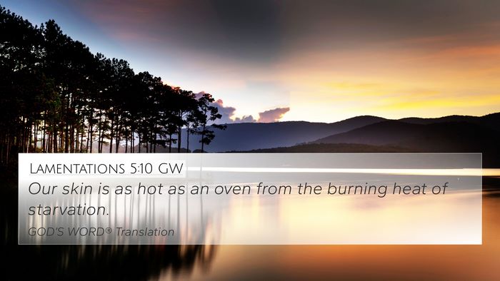 Lamentations 5:10 GW Bible Verse Image