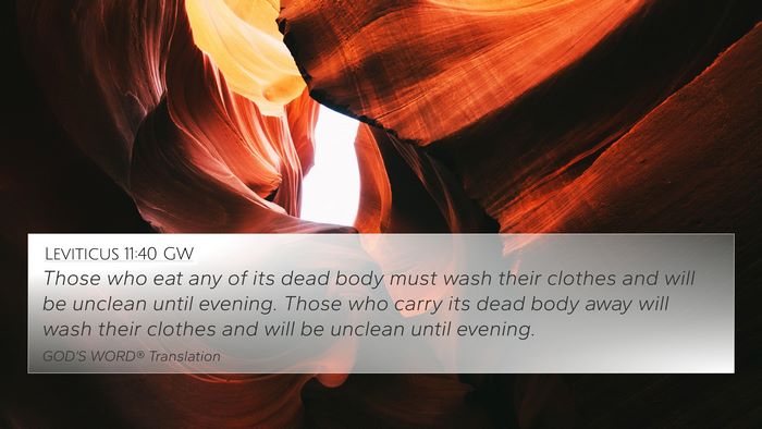 Leviticus 11:40 GW Bible Verse Image