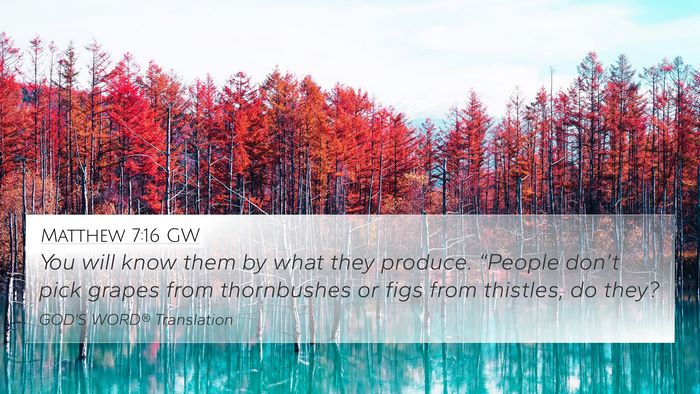 Matthew 7:16 GW Bible Verse Image