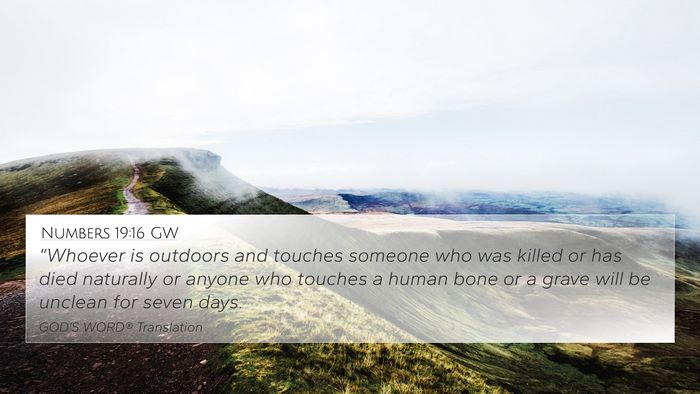 Numbers 19:16 GW Bible Verse Image