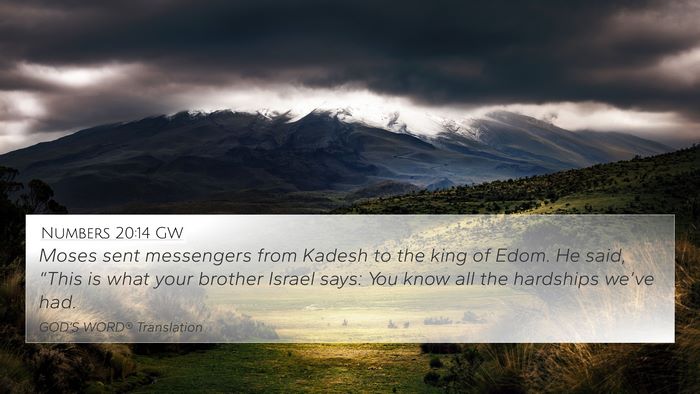 Numbers 20:14 GW Bible Verse Image