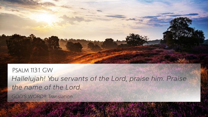 Psalm 113:1 GW 4K Wallpaper - Hallelujah! You servants of the Lord, praise him. - 4K Wallpaper Bible Verse
