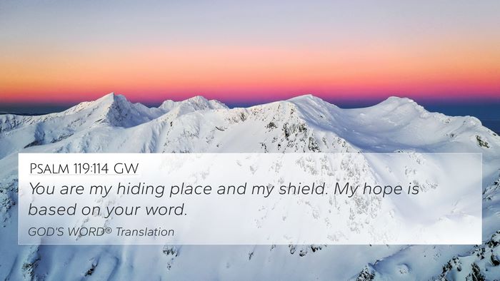 Psalm 119:114 GW Bible Verse Image