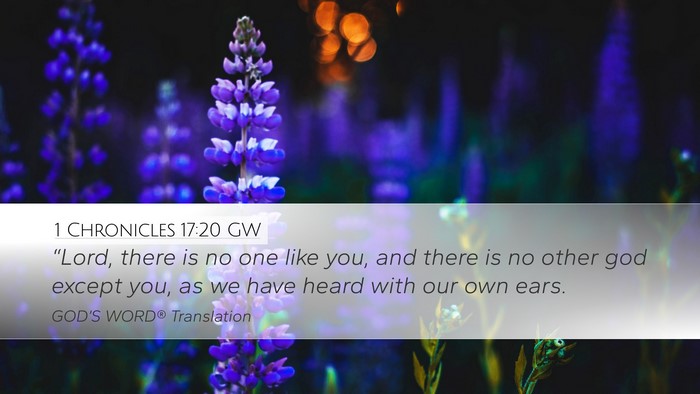 1 Chronicles 17:20 GW Bible Verse Image