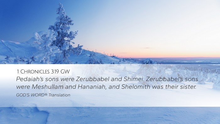 1 Chronicles 3:19 GW Bible Verse Image