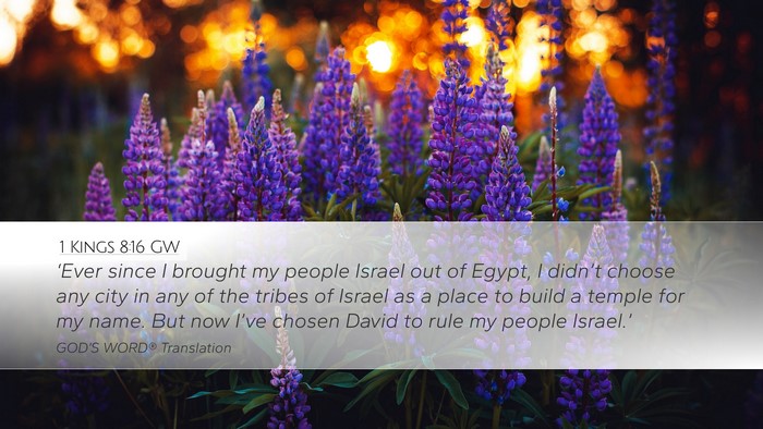 1 Kings 8:16 GW Bible Verse Image