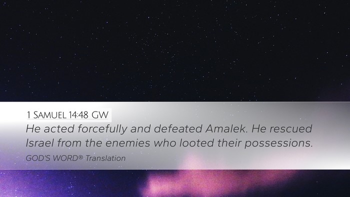 1 Samuel 14:48 GW Desktop Wallpaper - He acted forcefully and defeated Amalek. He - Desktop Bible Verse Wallpaper