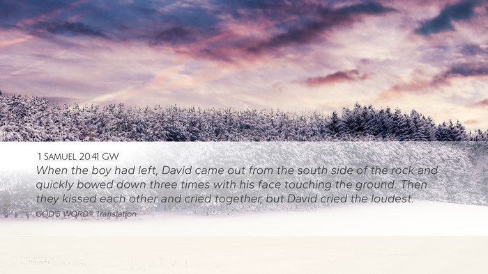 1 Samuel 20:41 GW Bible Verse Image