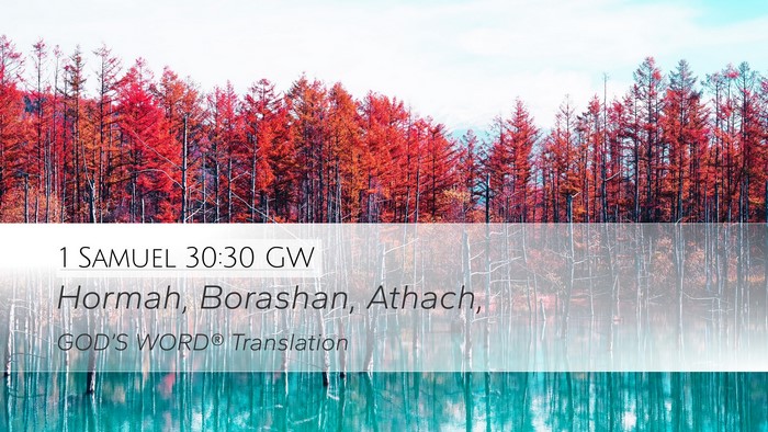 1 Samuel 30:30 GW Desktop Wallpaper - Hormah, Borashan, - Desktop Bible Verse Wallpaper