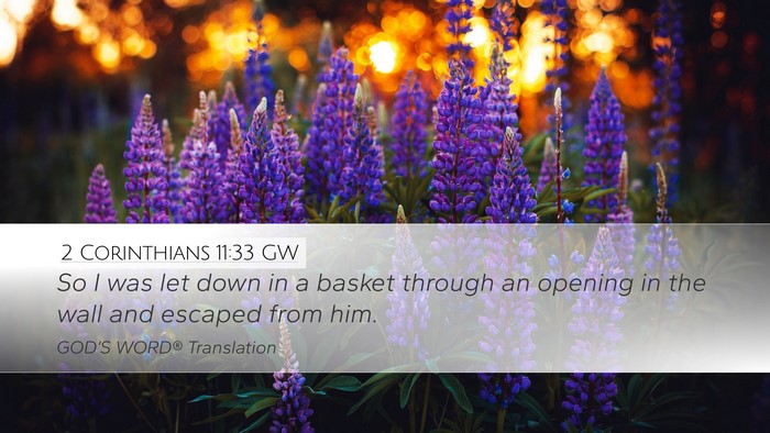 2 Corinthians 11:33 GW Bible Verse Image