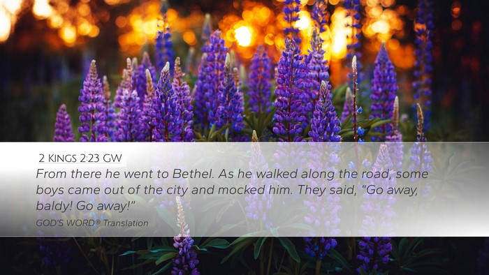 2 Kings 2:23 GW Desktop Wallpaper - From there he went to Bethel. As he walked along - Desktop Bible Verse Wallpaper