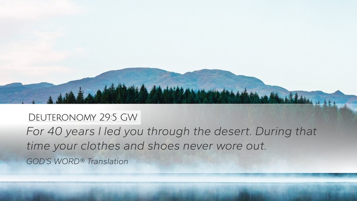 Deuteronomy 29:5 GW Desktop Wallpaper - For 40 years I led you through the desert. During - Desktop Bible Verse Wallpaper