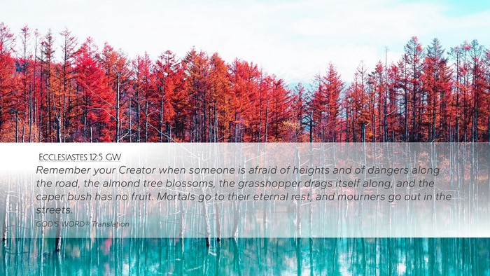 Ecclesiastes 12:5 GW Bible Verse Image