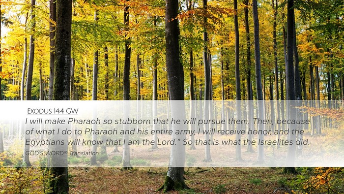 Exodus 14:4 GW Bible Verse Image