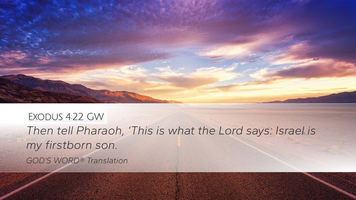 Exodus 4:22 GW Bible Verse Image