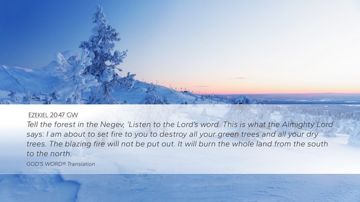 Ezekiel 20:47 GW Bible Verse Image