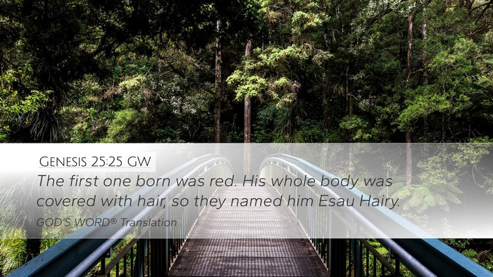 Genesis 25:25 GW Bible Verse Image