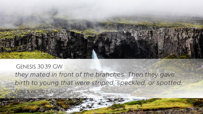 Genesis 30:39 GW Bible Verse Image