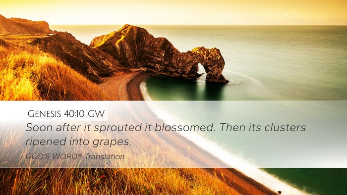 Genesis 40:10 GW Bible Verse Image