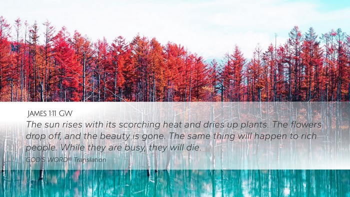 James 1:11 GW Desktop Wallpaper - The sun rises with its scorching heat and dries - Desktop Bible Verse Wallpaper