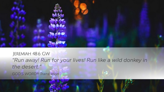 Jeremiah 48:6 GW Desktop Wallpaper - “Run away! Run for your lives! Run like a wild - Desktop Bible Verse Wallpaper