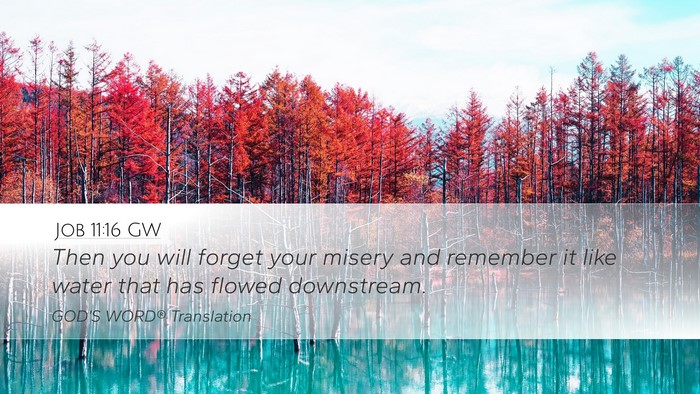 Job 11:16 GW Desktop Wallpaper - Then you will forget your misery and remember it - Desktop Bible Verse Wallpaper