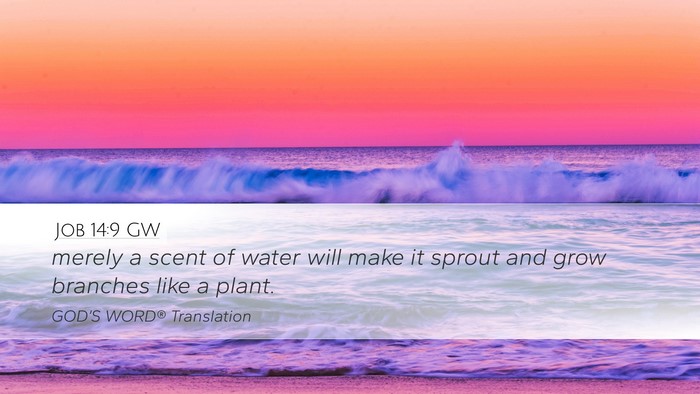 Job 14:9 GW Desktop Wallpaper - merely a scent of water will make it sprout and - Desktop Bible Verse Wallpaper