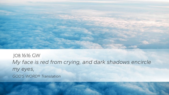 Job 16:16 GW Bible Verse Image